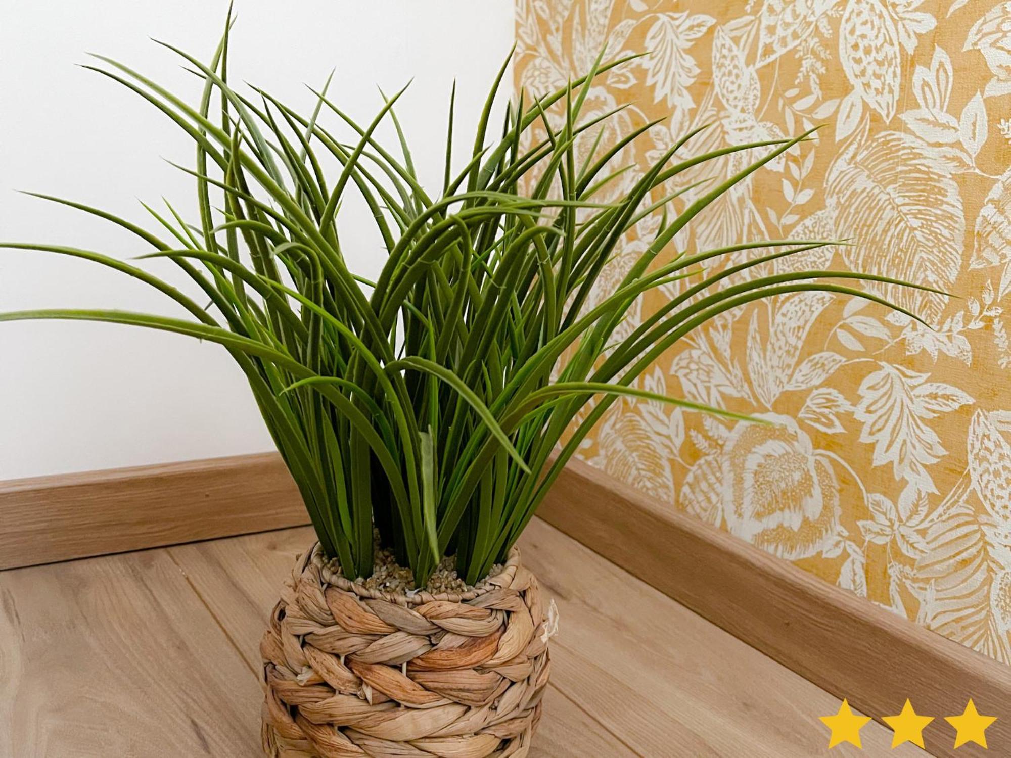 Le Clos Des Oyats A 布雷里奥海滨 外观 照片